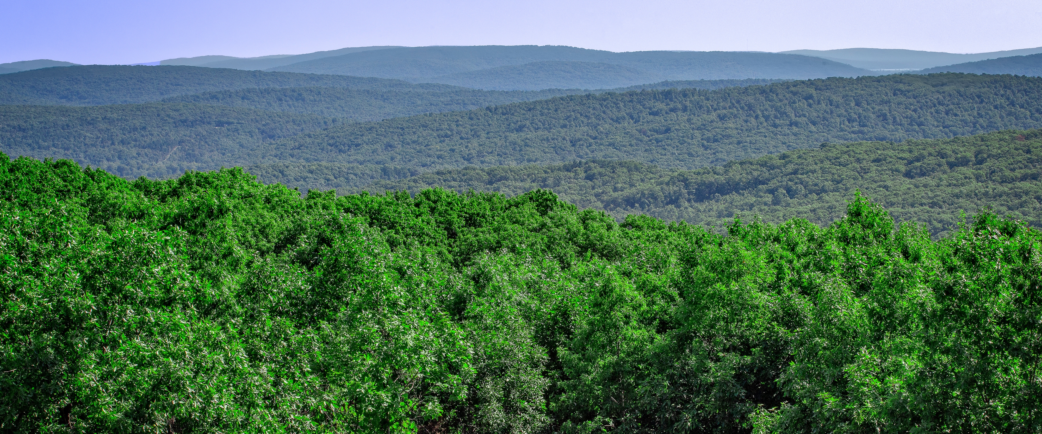 オザーク メインビジュアル画像 1